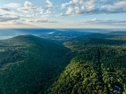 Property for sale in Marion County, Tennessee