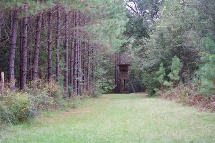 Timberland Property for sale in Williamsburg County, South Carolina