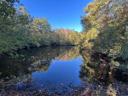 Undeveloped Land for sale in Twiggs County, Georgia