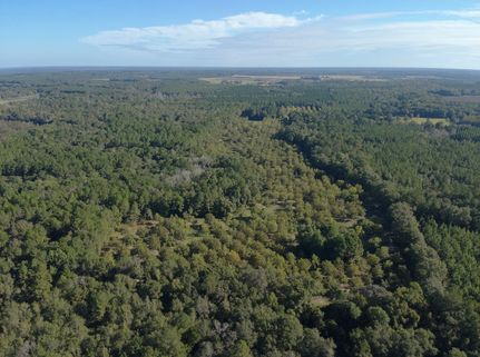 Property for sale in Pulaski County, Georgia