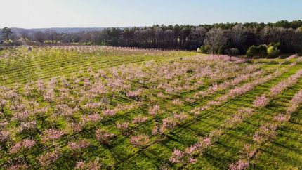Hunting Land for sale in Franklin County, Georgia