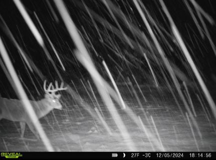 Timberland Property for sale in Cass County, Michigan