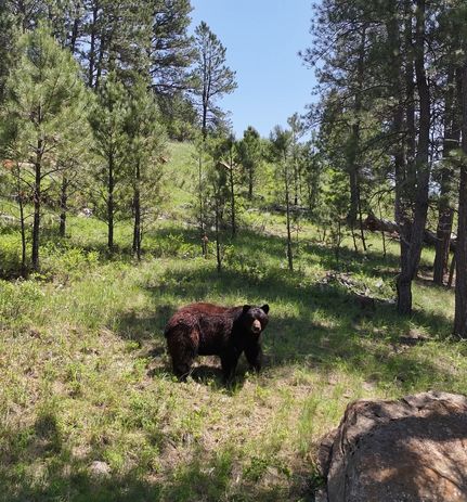 Property for sale in Big Horn County, Montana