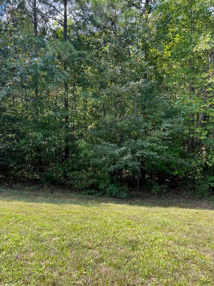 Undeveloped Land for sale in Anson County, North Carolina