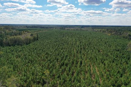 Property for sale in Wheeler County, Georgia