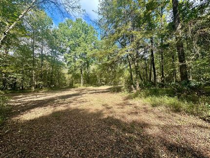 Property for sale in Lowndes County, Alabama