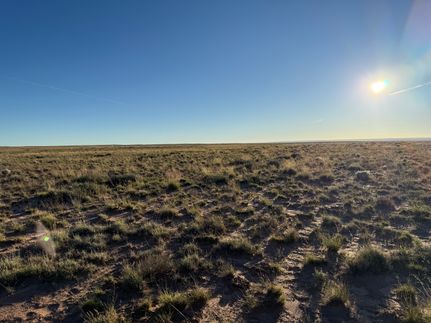 Property for sale in Navajo County, Arizona