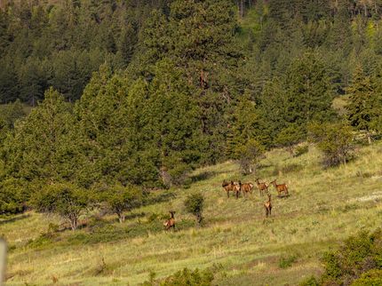 Property for sale in Ravalli County, Montana