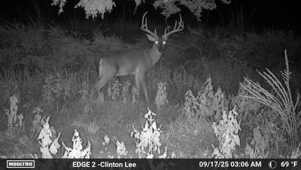 Property for sale in Van Buren County, Arkansas