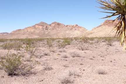 Property for sale in Mohave County, Arizona