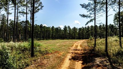 Hunting Land for sale in Monroe County, Georgia