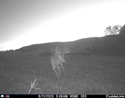 Property in Lycoming County, Pennsylvania