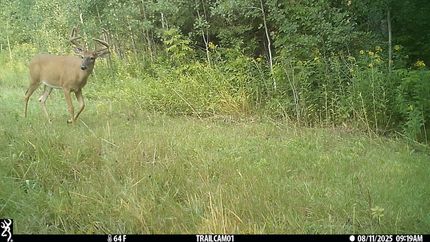 Property in Clearwater County, Minnesota