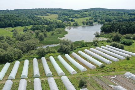 Timberland Property for sale in Madison County, New York