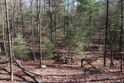 Property for sale in Shenandoah County, Virginia