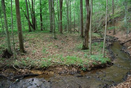Timberland Property for sale in Clarke County, Virginia