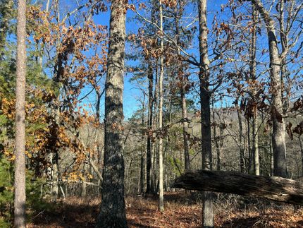 Hunting Land for sale in Craig County, Virginia