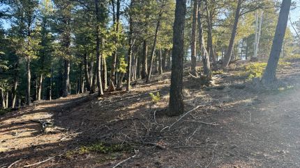 Undeveloped Land for sale in Teller County, Colorado