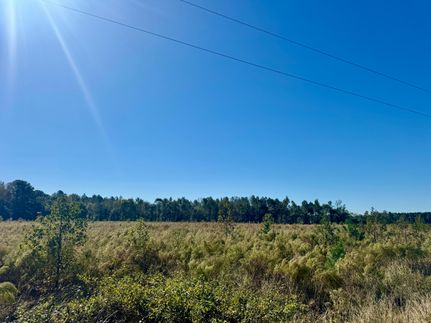 Recreational Property for sale in Bladen County, North Carolina