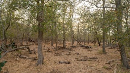 Undeveloped Land for sale in Caldwell County, Texas