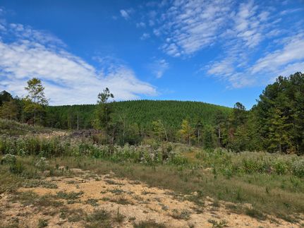 Hunting Land for sale in Cherokee County, Alabama