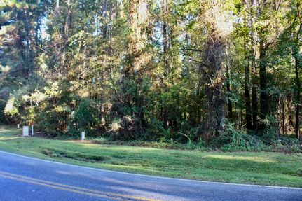 Undeveloped Land for sale in Sumter County, Georgia