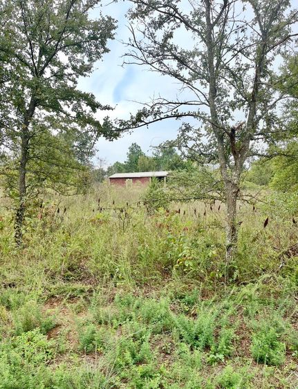 Hunting Land for sale in McIntosh County, Oklahoma