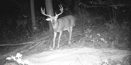 Property for sale in Tuscarawas County, Ohio