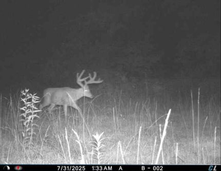 Property for sale in Putnam County, Missouri