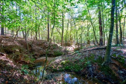 Timberland Property for sale in Oglethorpe County, Georgia