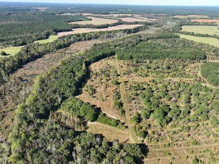 Timberland Property for sale in Sumter County, South Carolina