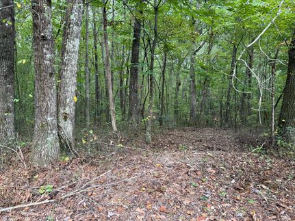 Property for sale in Grundy County, Tennessee