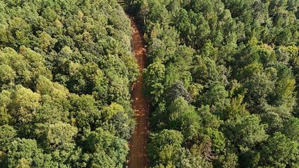 Hunting Land for sale in Calhoun County, Mississippi