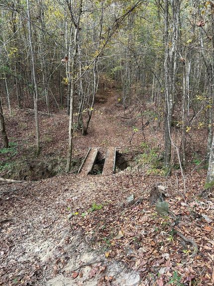 Property in Wilcox County, Alabama