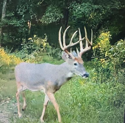 Property for sale in Davis County, Iowa