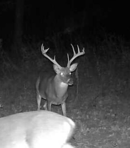 Property for sale in Leake County, Mississippi