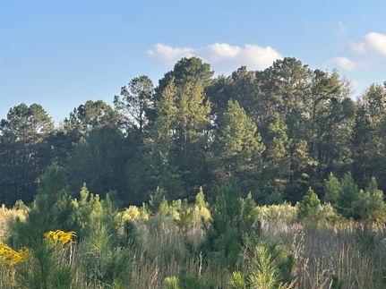 Residential Property for sale in Bowie County, Texas