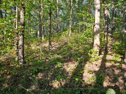 Residential Property for sale in Kanawha County, West Virginia