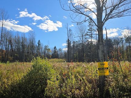 Property in Otsego County, New York