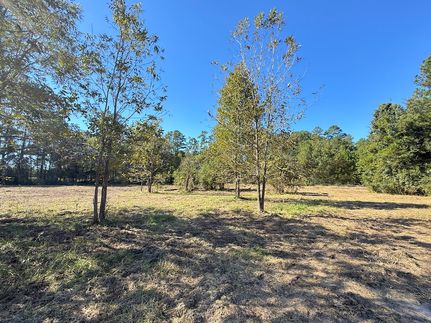 Residential Property for sale in Marion County, South Carolina