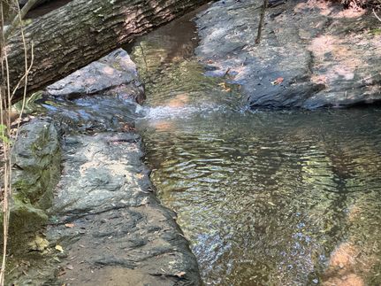 Property for sale in Tallapoosa County, Alabama