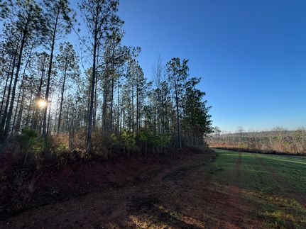 Farm Property for sale in Chambers County, Alabama