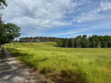 Undeveloped Land for sale in Chambers County, Alabama