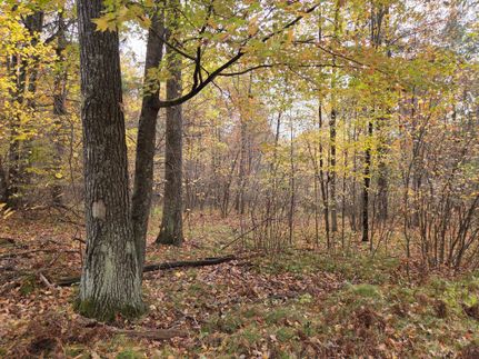 Property for sale in Marinette County, Wisconsin