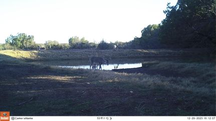 Property for sale in Terrell County, Texas