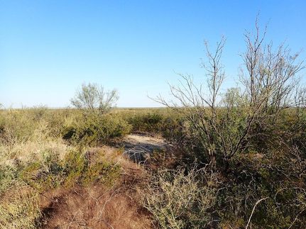 Property for sale in Terrell County, Texas