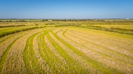 Ranch Property for sale in Jefferson County, Texas