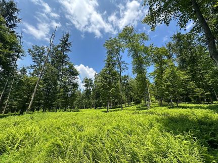 Undeveloped Land for sale in Centre County, Pennsylvania
