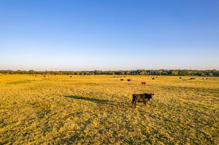 Commercial Property for sale in Wood County, Texas