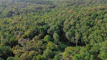 Undeveloped Land for sale in Lincoln Parish, Louisiana
